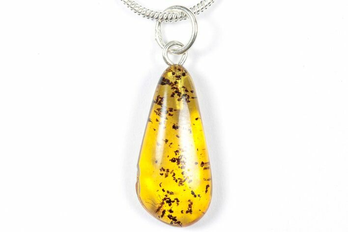 Polished Baltic Amber Pendant (Necklace) - Contains Fly! #357989